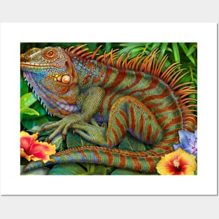 Iguana Posters and Art